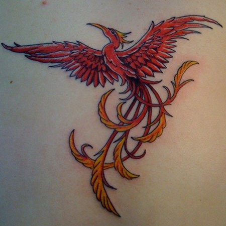 красная татуировка птицы феникс