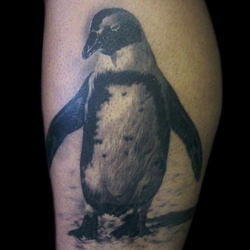 чб татуировка пингвина